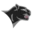 Chatham Central School District logo