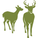Town of Deerfield logo