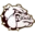 Choteau Elementary School District logo
