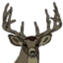 City of Antlers logo