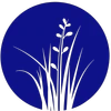 City of Boyd logo