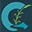 City of Carrizo Springs logo