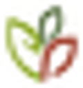City of DeKalb city logo