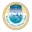 City of Destin logo