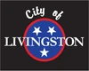 Town of Livingston logo
