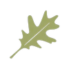 Town of Coy logo