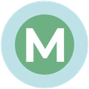 City of Marshallville logo