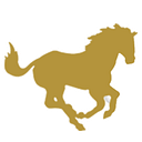 City of Mustang logo