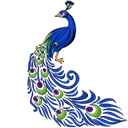 City of Pavo logo