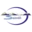 City of Salmon logo
