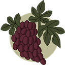 City of St. Helena logo