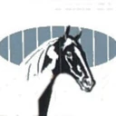 City of Taylor logo