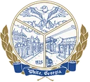 City of White logo