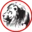 Clarendon School District logo