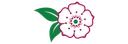 City of Clarkesville logo