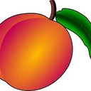Clay County logo