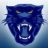 Coleman Independent School District logo