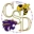 Custer School District 16-1 logo