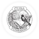Town of Cuba logo