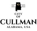 Town of McMullen logo