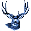 Deer Park CCSD 82 logo