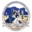 Dell City Independent School District logo