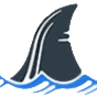 Destin High School logo