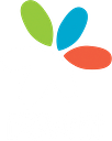 Town of De Witt logo