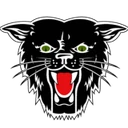 Dexter R-XI School District logo