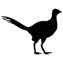 City of Mott logo