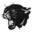 Delton Kellogg Schools logo