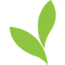 Duplin County logo