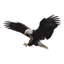 Town of Eagles Nest logo