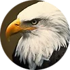Town of Eagle logo