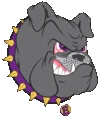 Elbert School District 200 logo