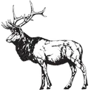 City of Elkton logo