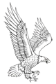 Ellicottville Central School District logo