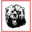 Estancia Municipal Schools logo