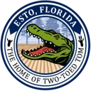 Town of Esto logo