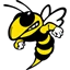 Ferndale Area SD logo