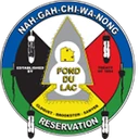 Fond Du Lac Transit logo