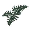 Fern Bluff Mud logo