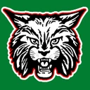 Ferndale Unified logo