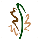 City of Forest Hill logo