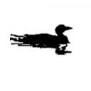 Town of Freeman logo