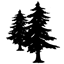 Flagstaff Unified District logo