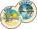 Gulf County logo