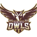 Hancock Public School District logo