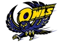 Hale Center Independent School District logo