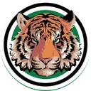 Hudson Falls Central School District logo